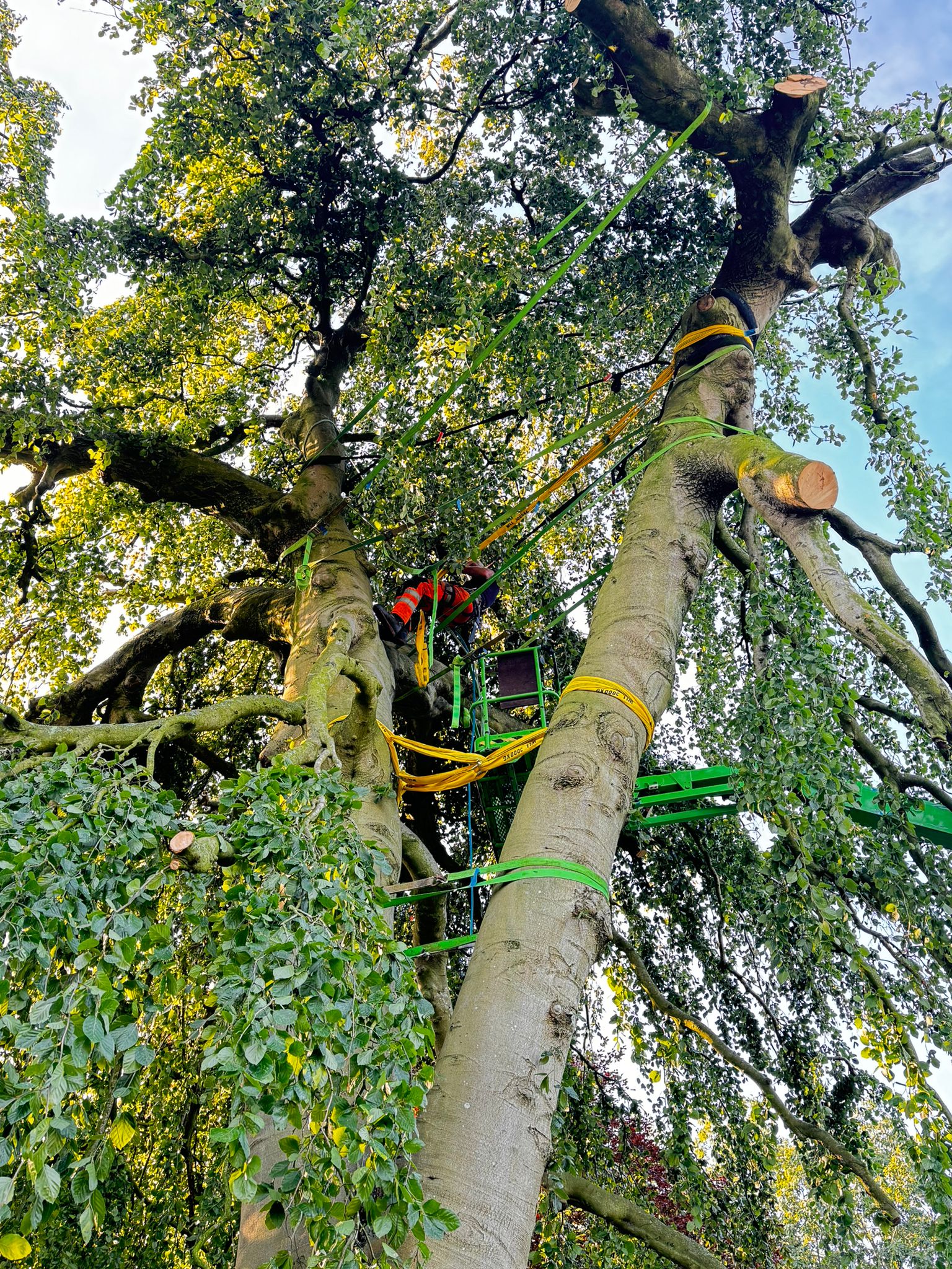 Zuiderbegraafplaats Gemeente Groningen 2024